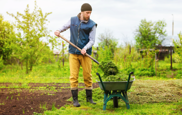 News Article Listing